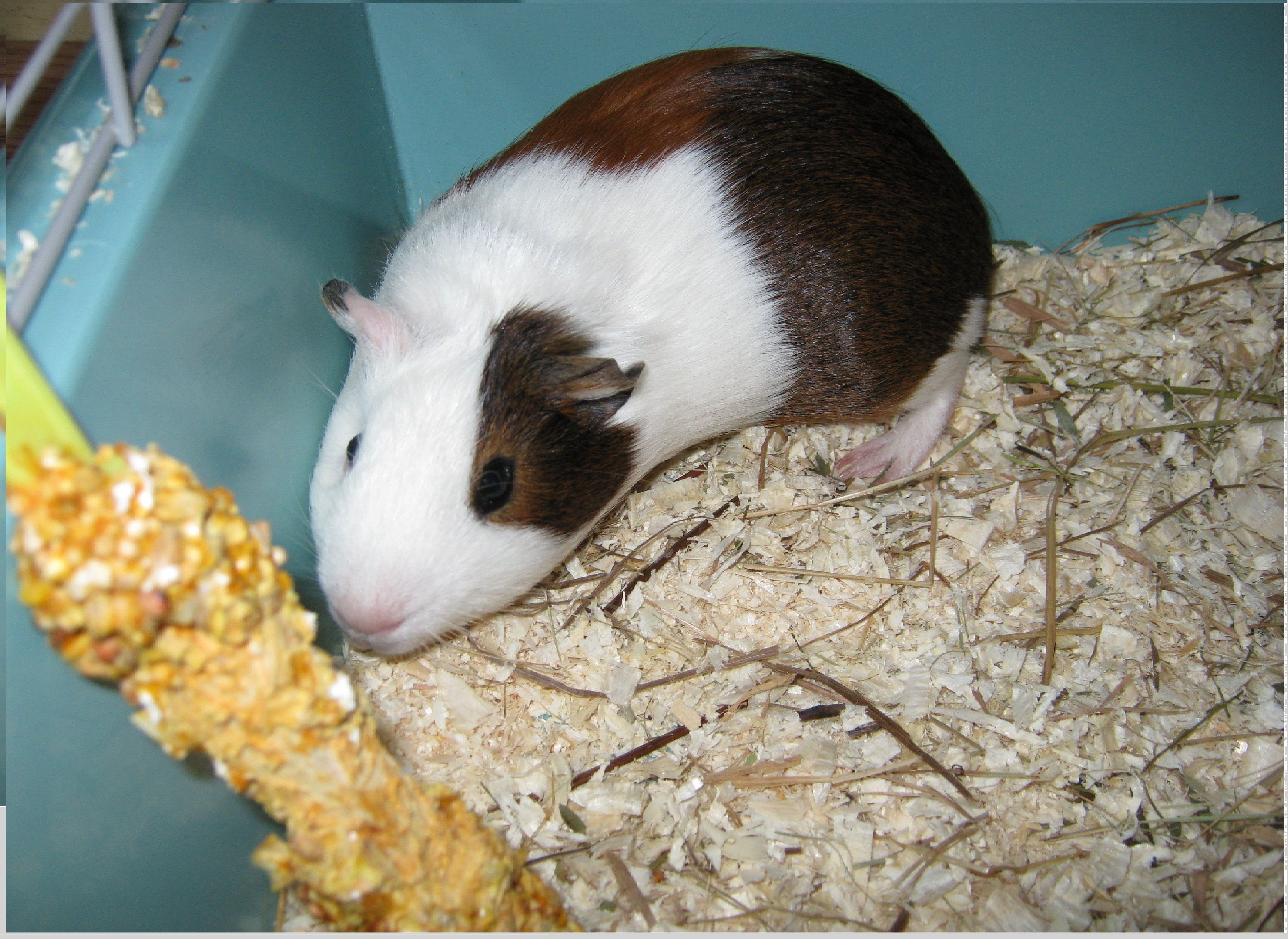 canon_kek_216.jpg canon_kek_216.jpg