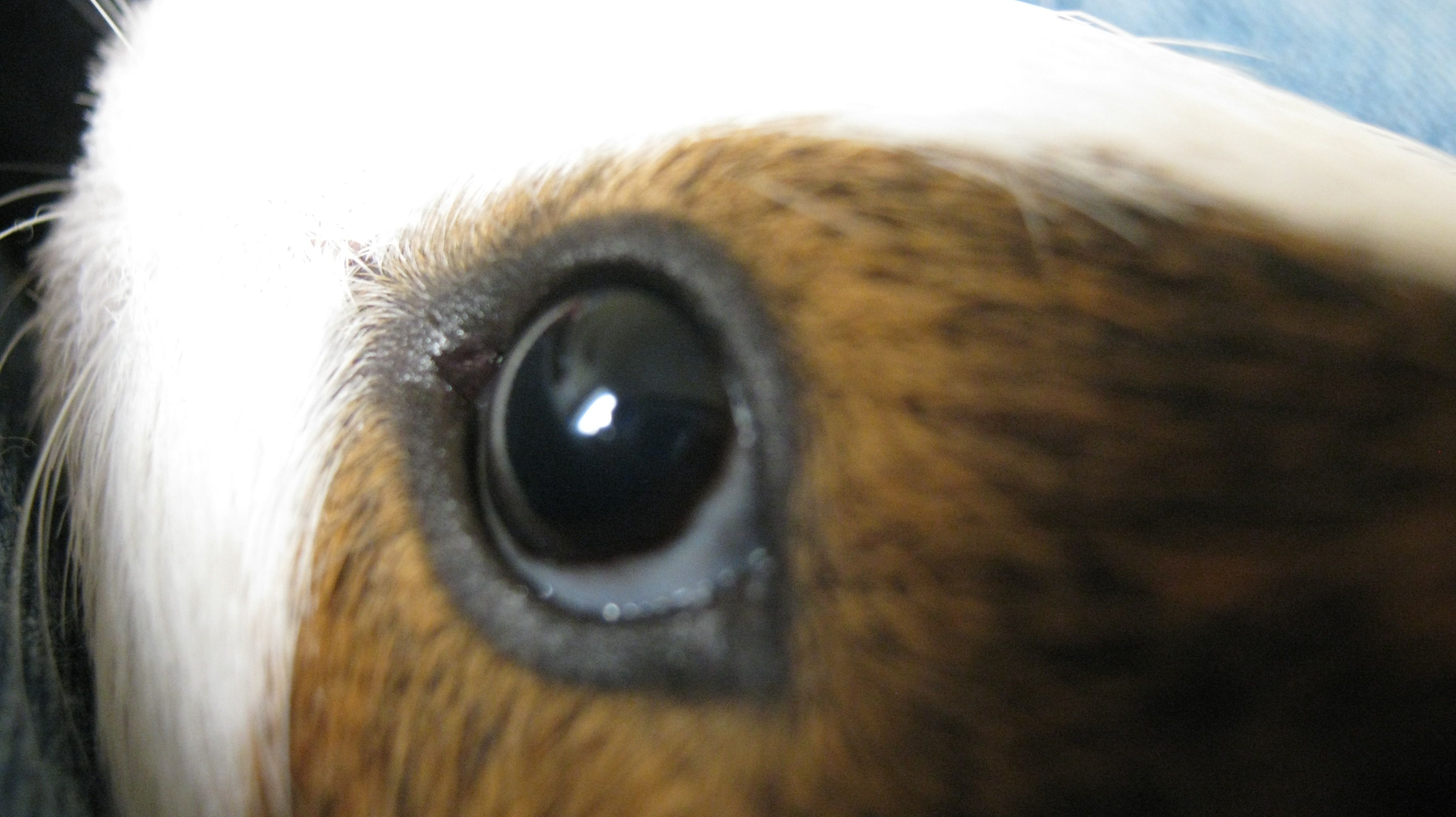 img_0653.jpg img_0653.jpg