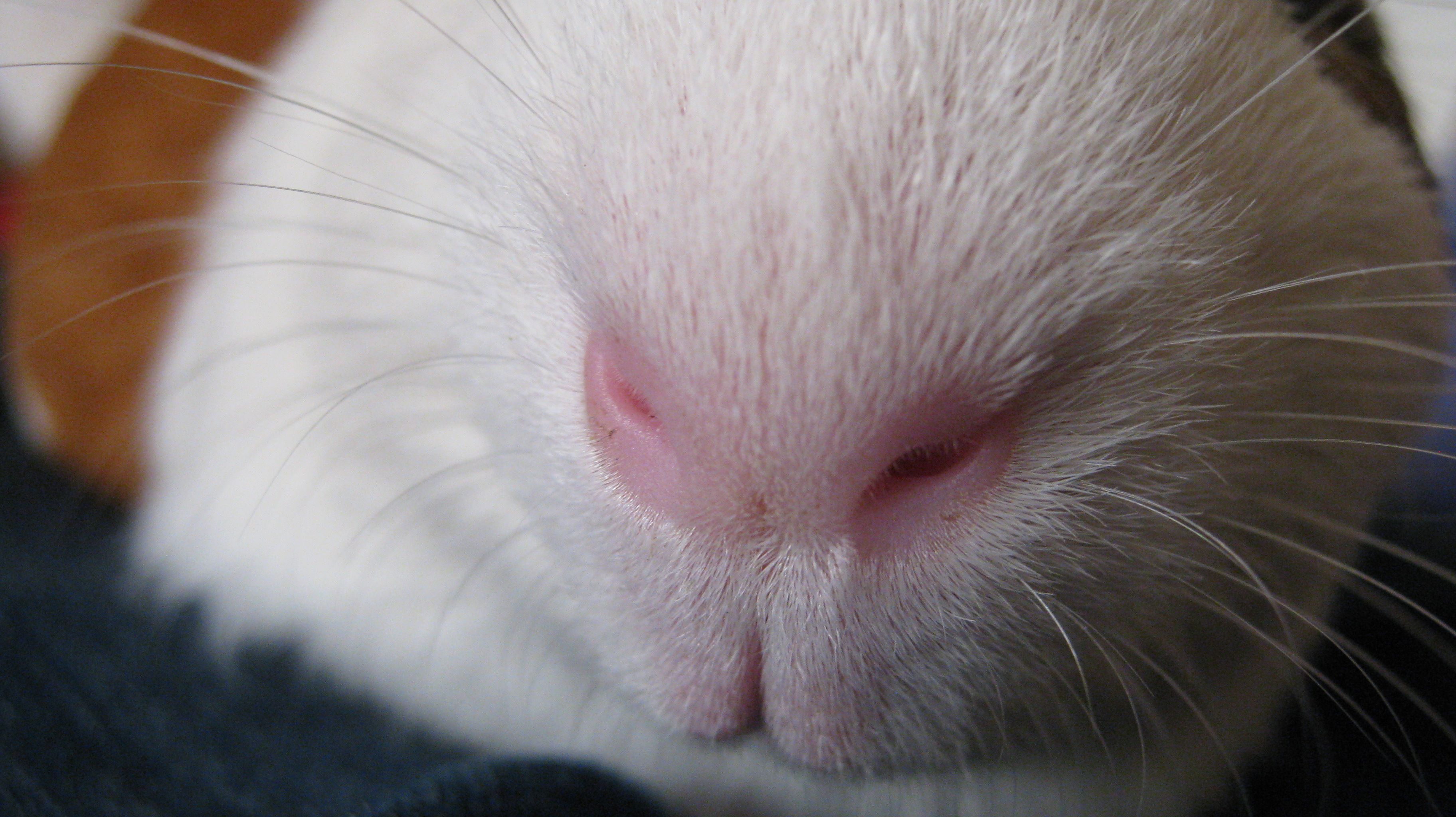 img_0656.jpg img_0656.jpg