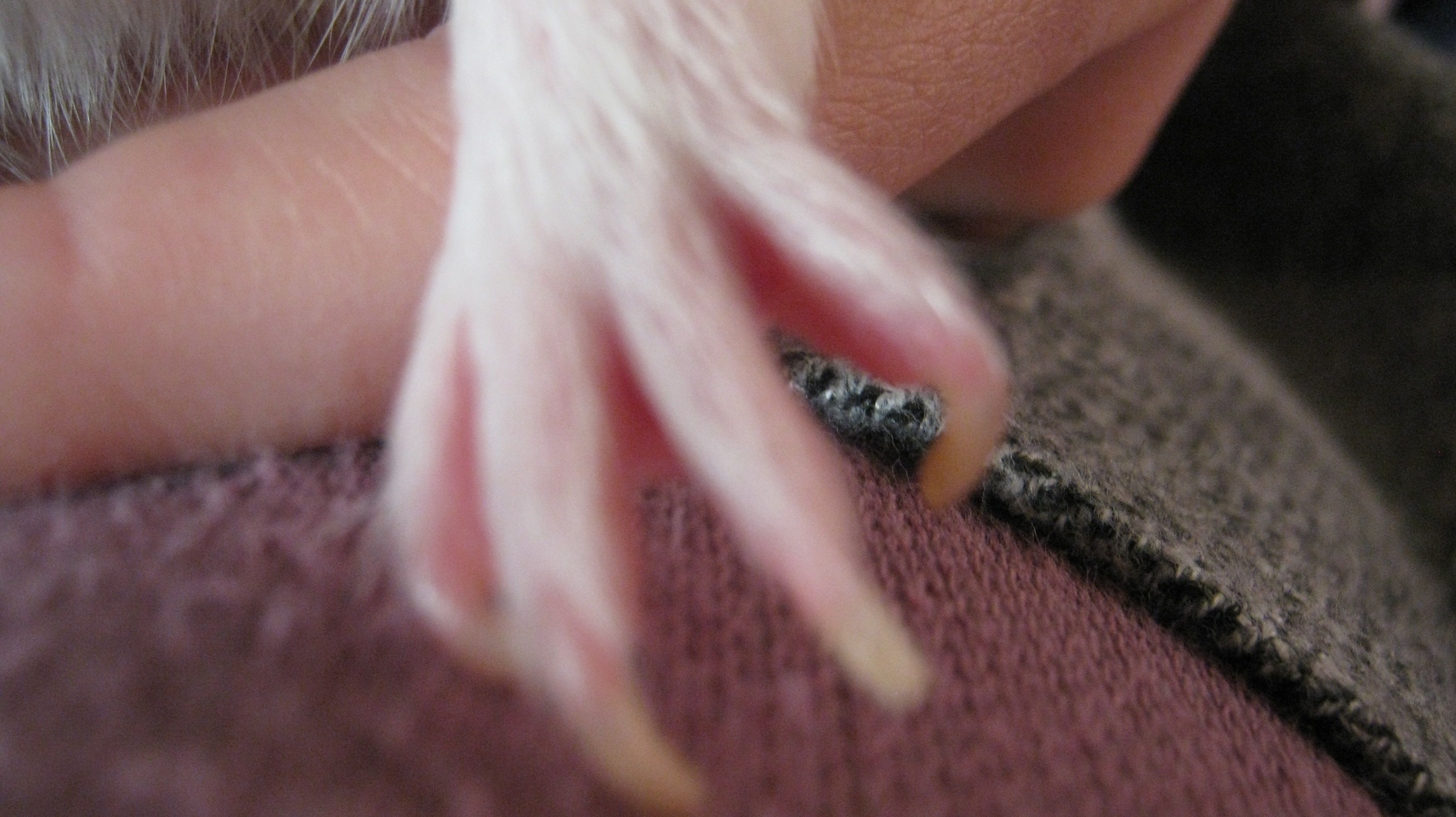 img_0660.jpg img_0660.jpg