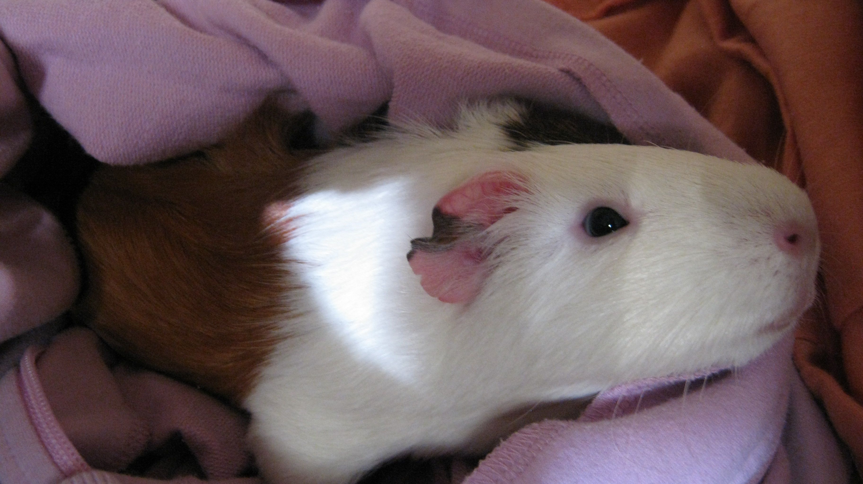 img_0665.jpg img_0665.jpg