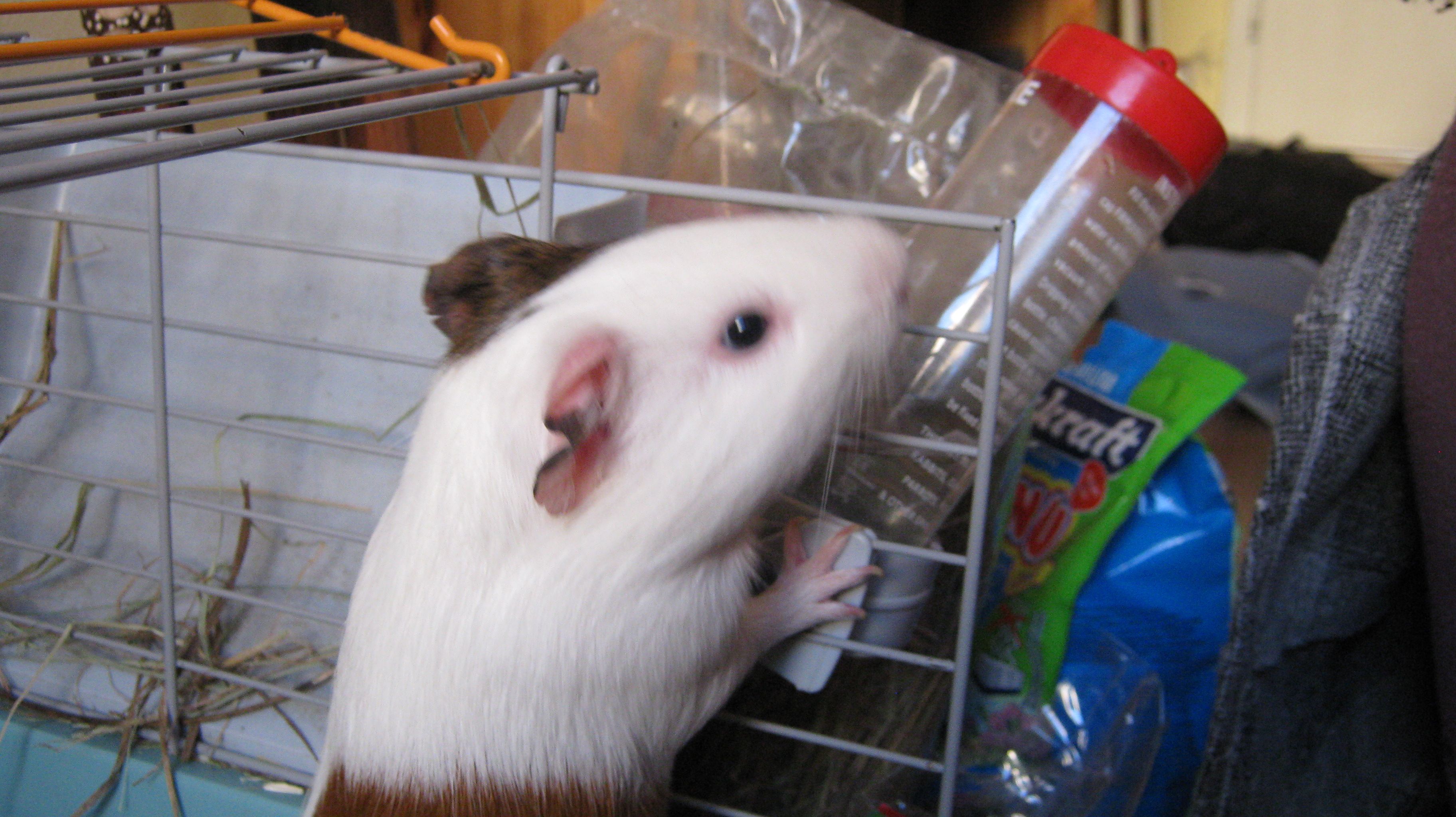 img_0667.jpg img_0667.jpg